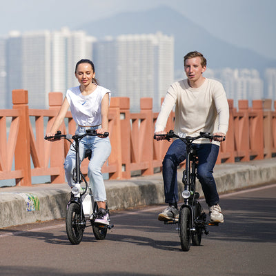 U1 City E-bike 250W für Erwachsene